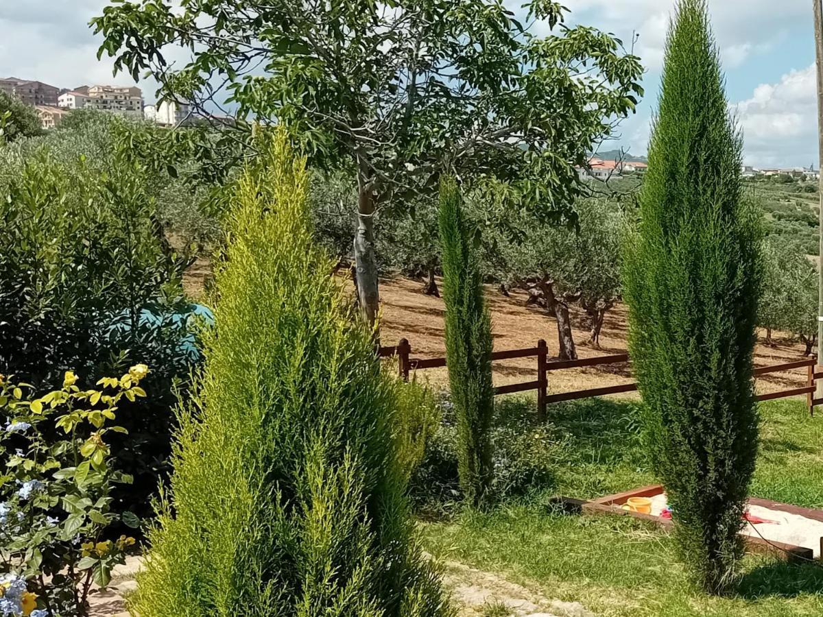 Villa Nonno Nicola Montenero di Bisaccia Exterior photo